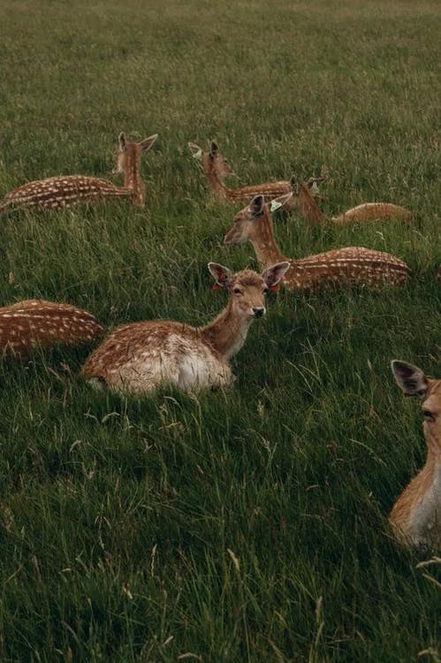 ac01d2b6a0a342a03fd09bd81f371b10 ac01d2b6a0a342a03fd09bd81f371b10