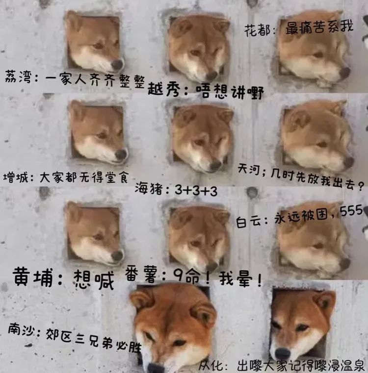 3986f92cffa87d3a01a7307b9d94f1aa 3986f92cffa87d3a01a7307b9d94f1aa