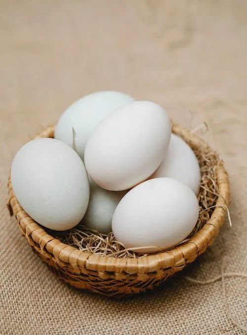 9a0d8242fd79e0e19496db740ddc3286 9a0d8242fd79e0e19496db740ddc3286