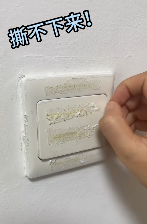 微信圖片_20241122125319 微信圖片_20241122125319